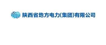 陕西省地方电力集团有限公司